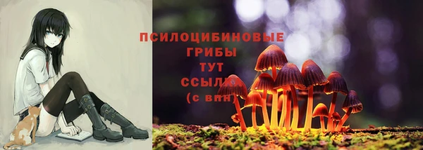 PSILOCYBIN Каменск-Шахтинский