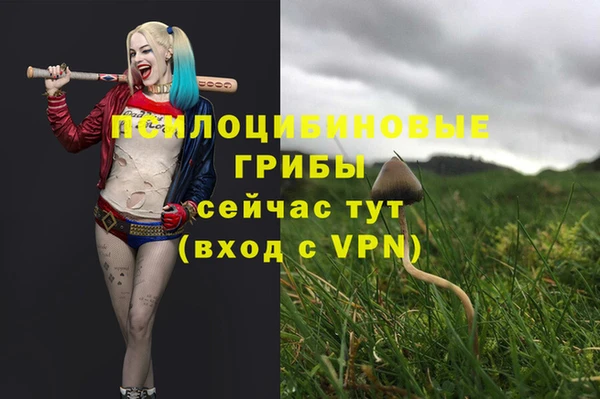 каннабис Алзамай