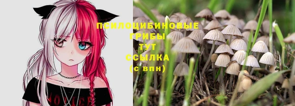 2c-b Алексеевка